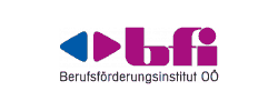 bfi Logo